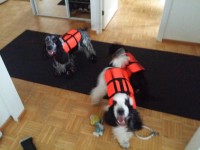 /album/patu/a11660394-10206888283223869-943293171-o-kopio-jpg1/